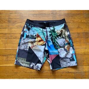 AMERICAN EAGLE Colorful Beach Themed Boardshorts sz L